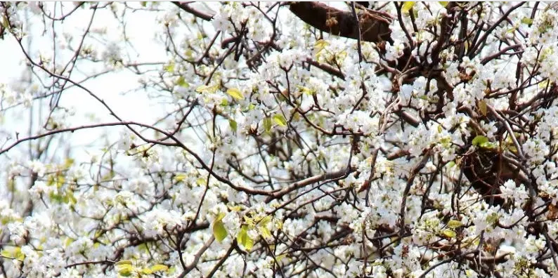 1621904790358759.png blob.png