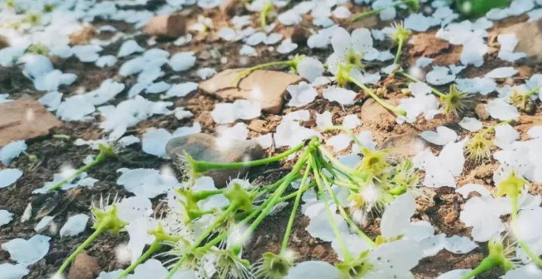 1621904806212445.png blob.png