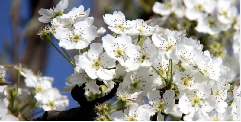 1621904819342806.png blob.png